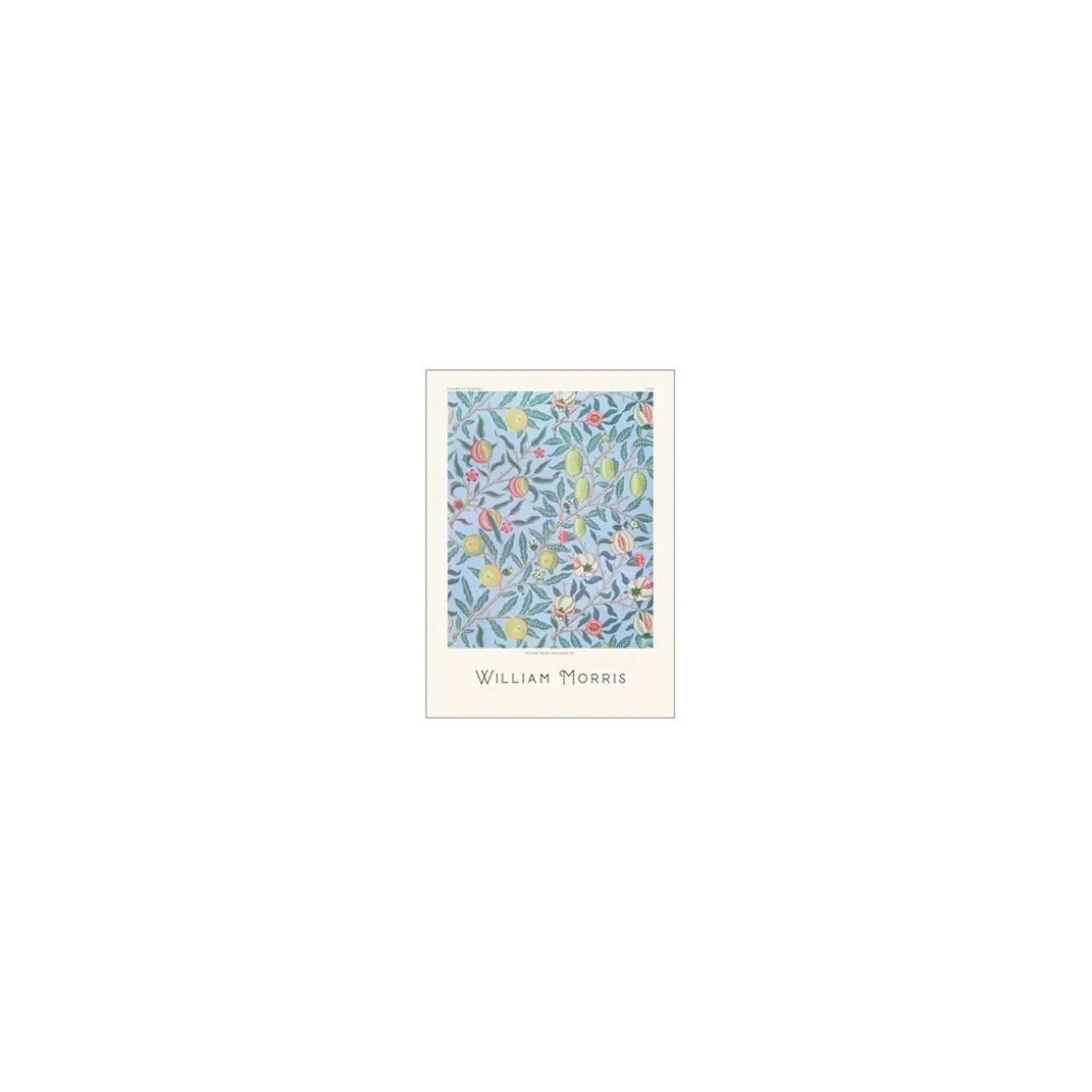 Plakat "Fruits on blue" 30x40 cm.
