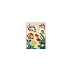 Vintage plakat - Japaonica