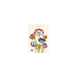 Vintage plakat - Tulipaner